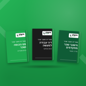 ספרות חשבי שכר